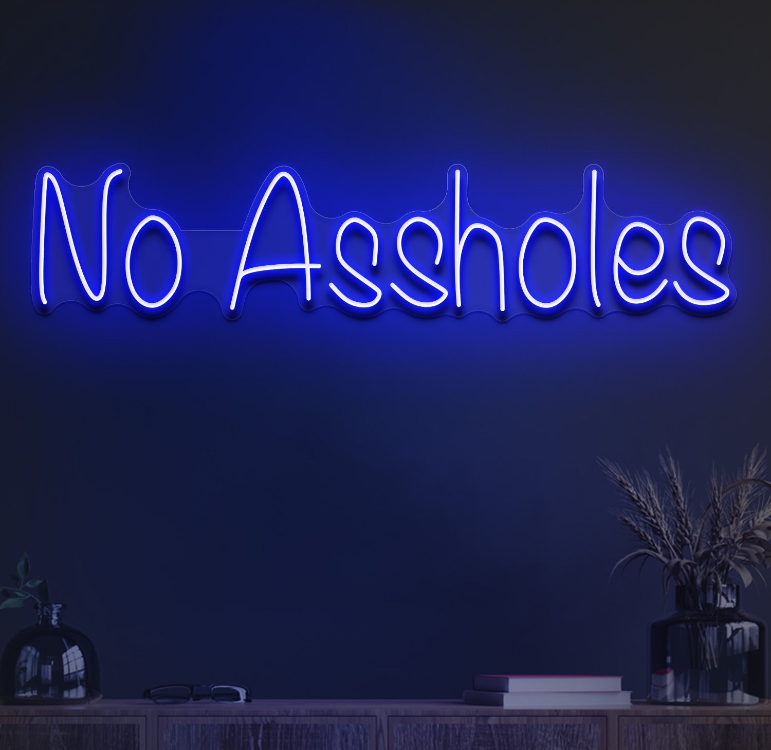 No assholes neon sign