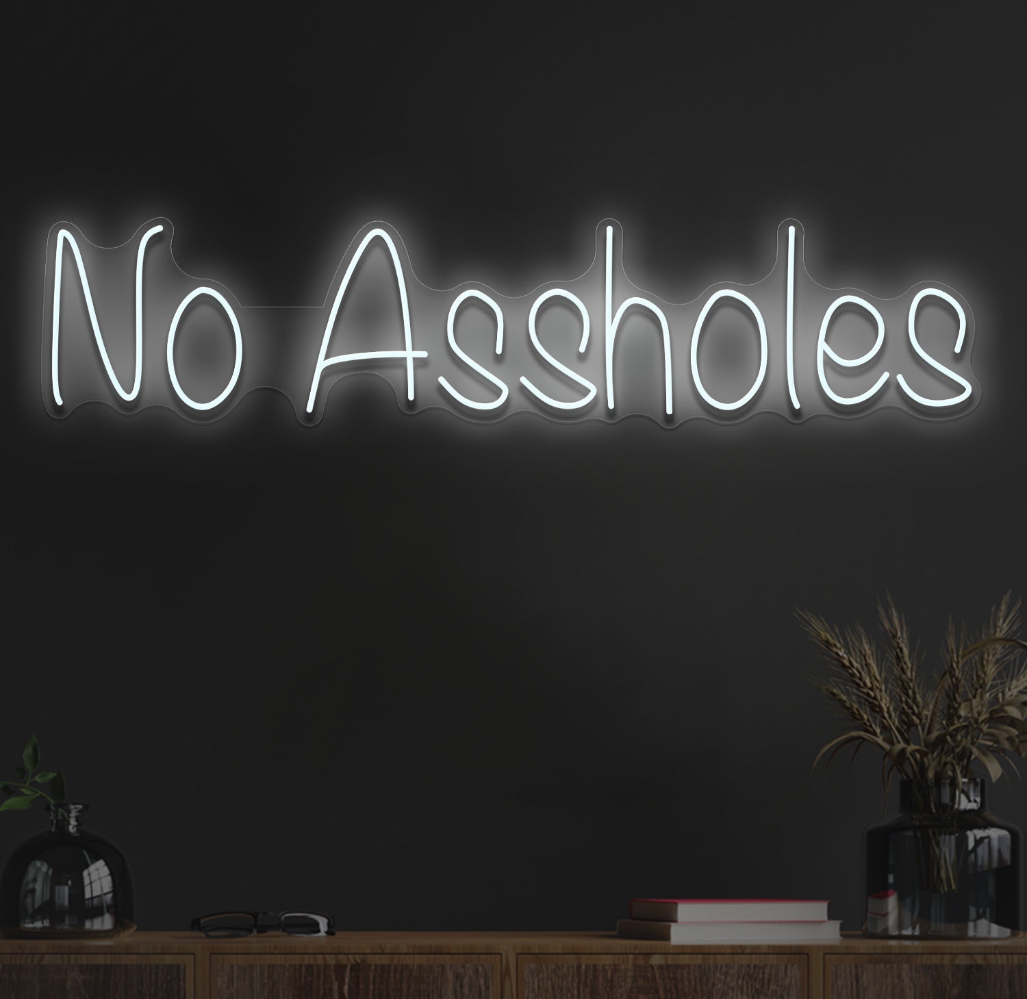 No assholes neon sign