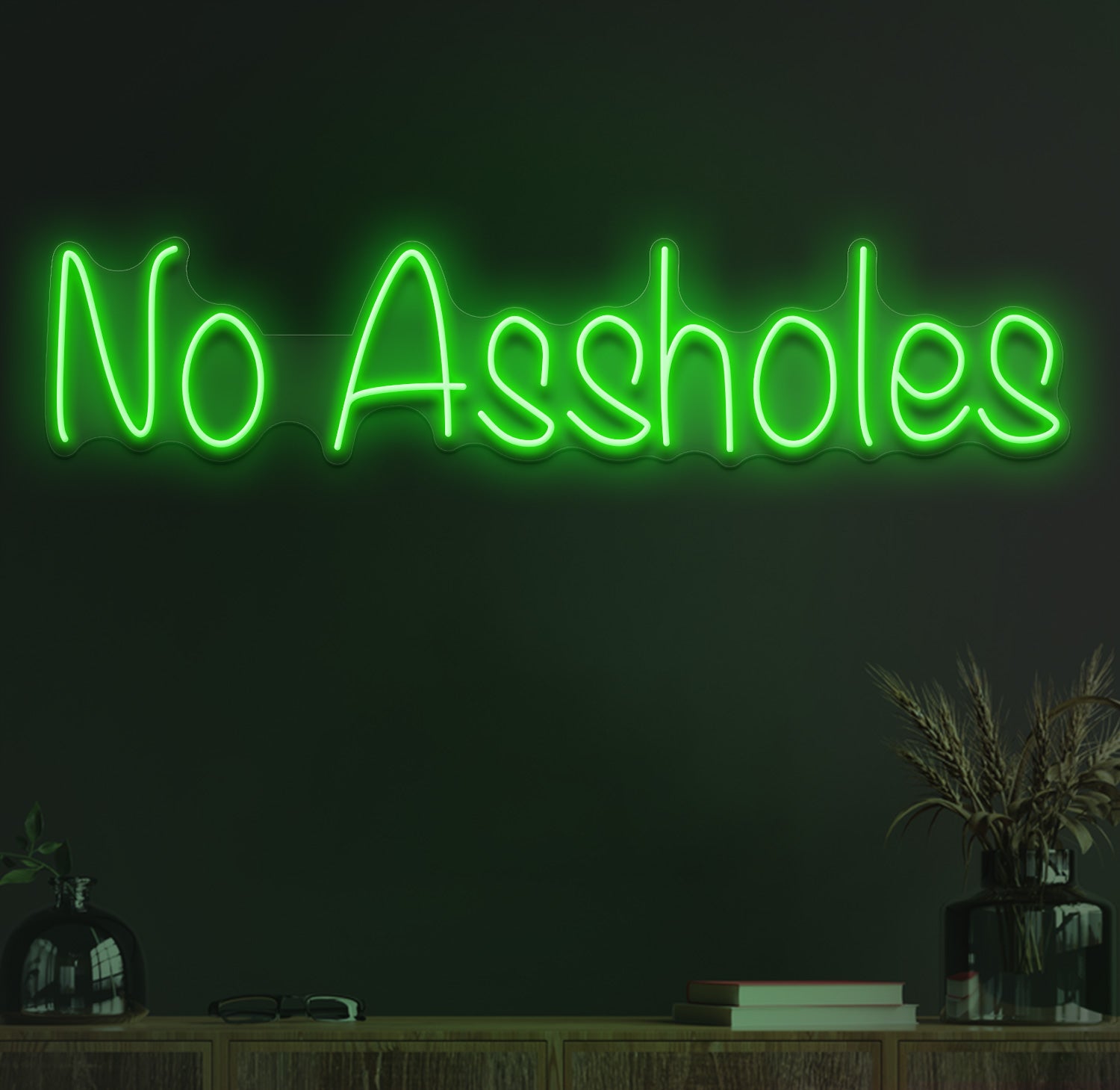 No assholes neon sign