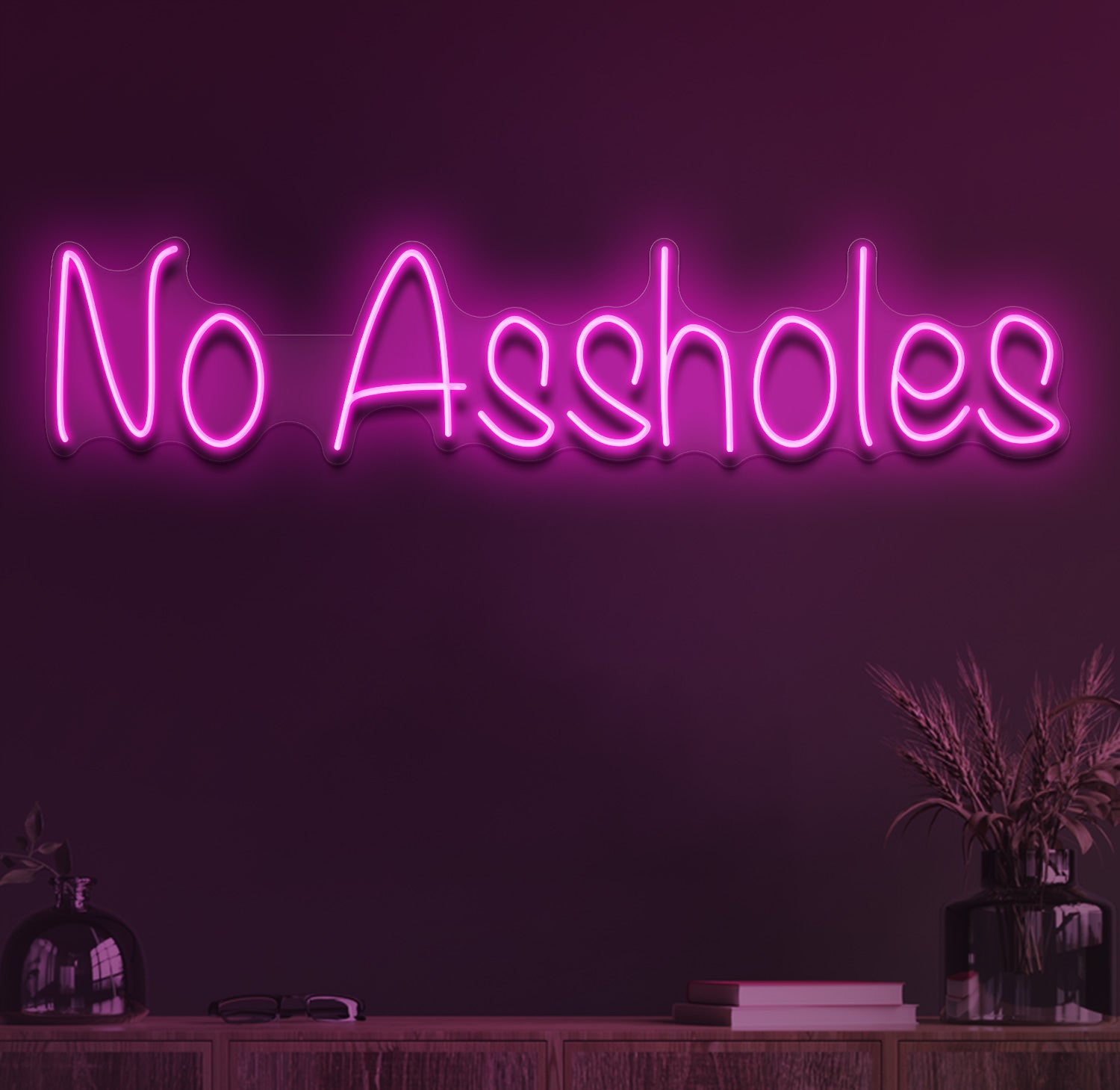 No assholes neon sign