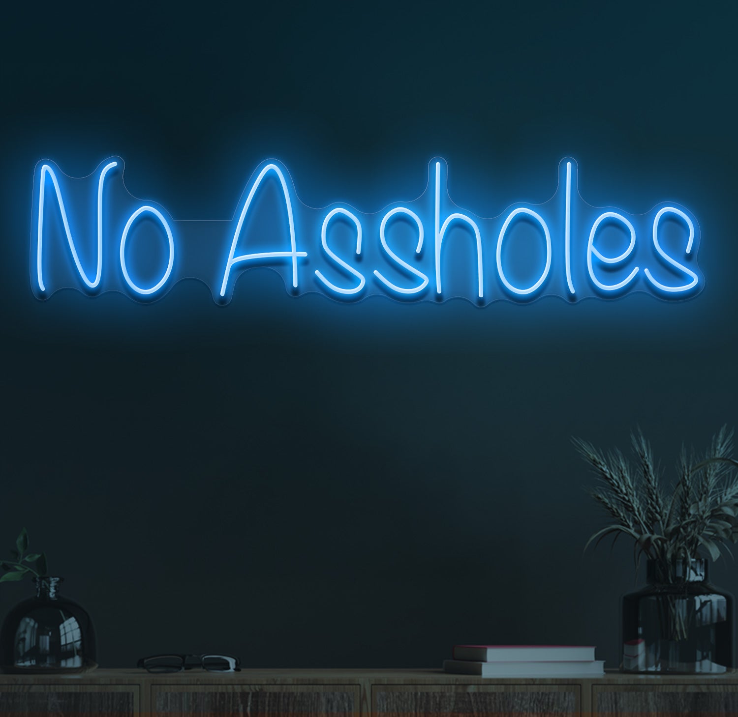 No assholes neon sign