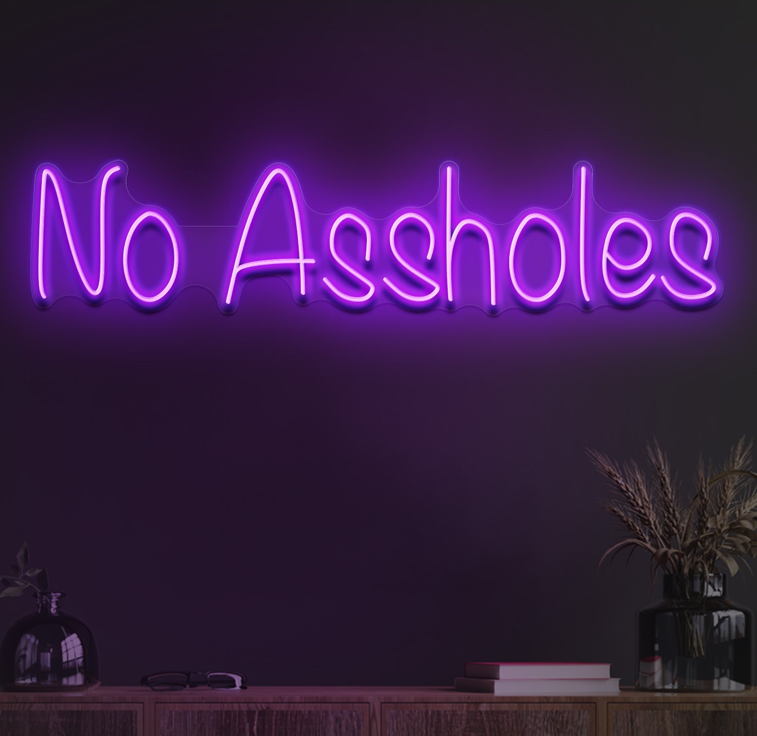 No assholes neon sign