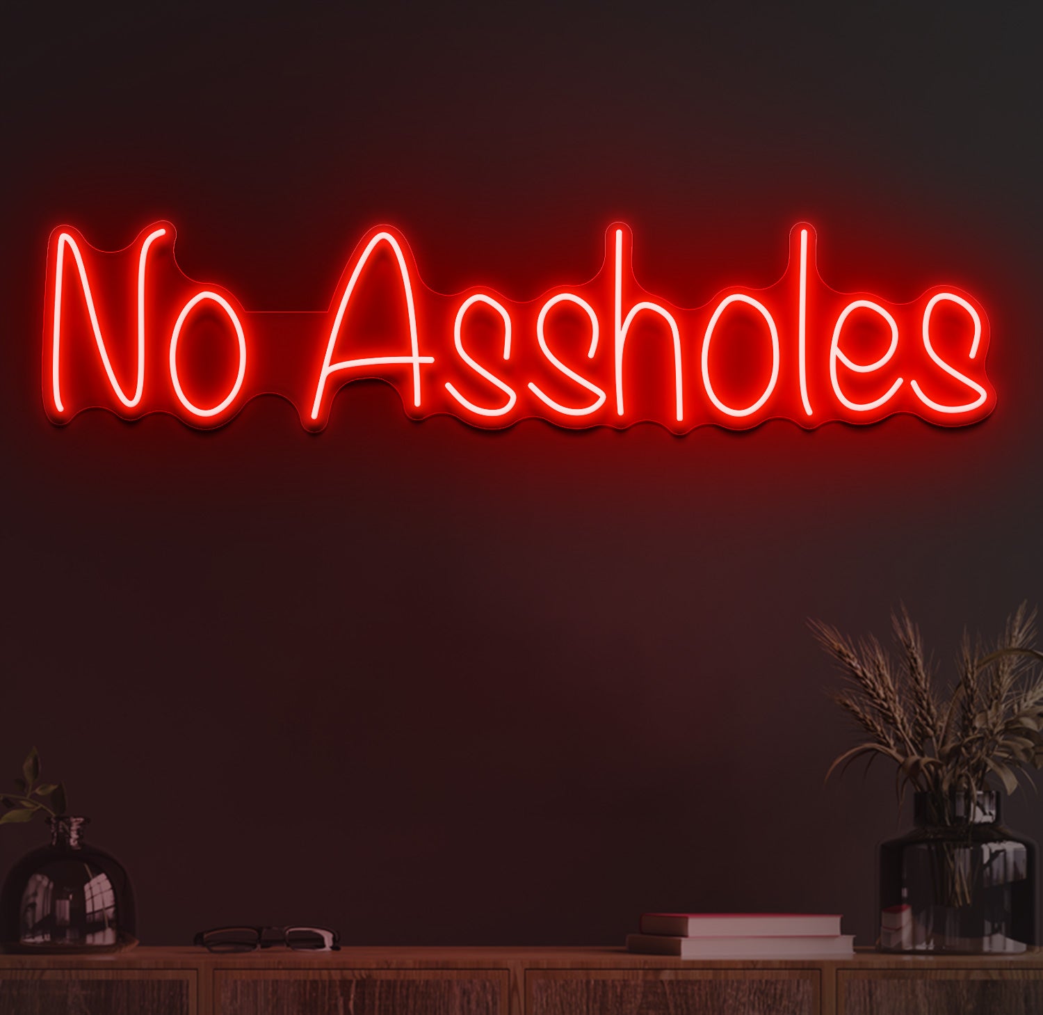 No assholes neon sign