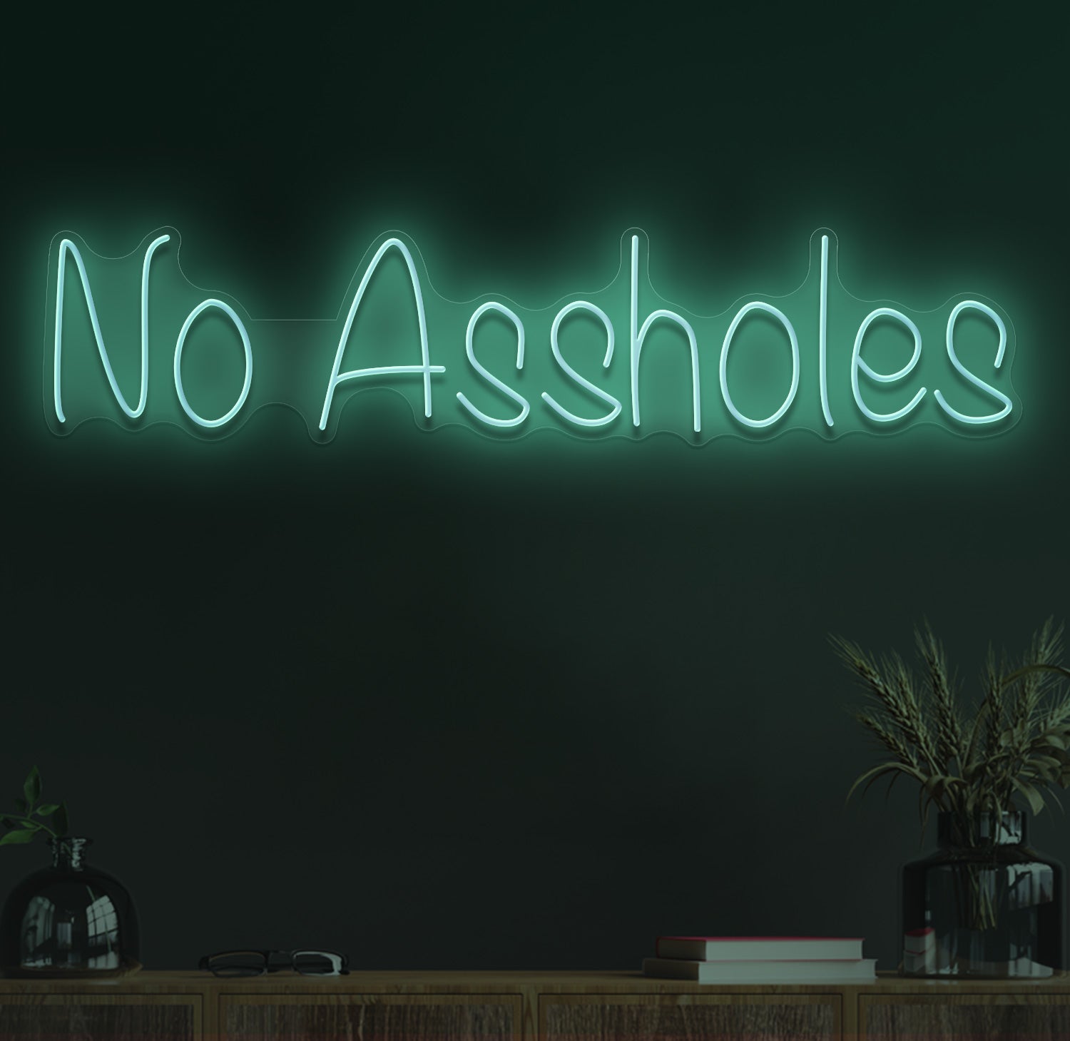 No assholes neon sign