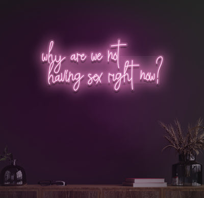 Why Are We Not Having Sex Right Now Neon Sign